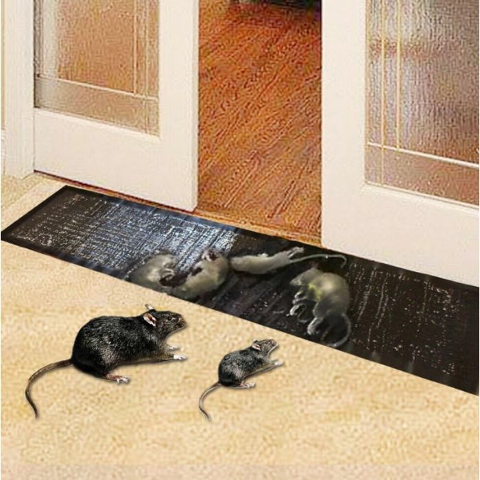 Colle pour rats 135gr - Colle pour souris et rats
